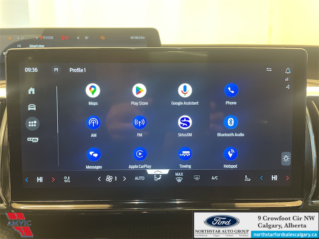 2025 Ford Expedition Platinum Max STEALTH APPEARANCE PKG. - HEAT - Photo 18