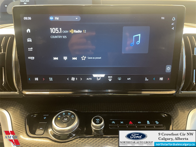 2025 Ford Expedition Platinum Max STEALTH APPEARANCE PKG. - HEAT - Photo 19