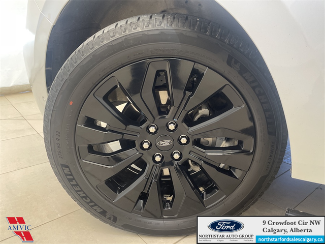 2025 Ford Expedition Platinum Max STEALTH APPEARANCE PKG. - HEAT - Photo 20