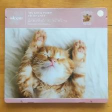 Casse-têtes / Puzzles (10 CT), 500 pièces (II) - Photo 7