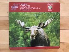 Casse-têtes / Puzzles (10 CT), 500 pièces (II) - Photo 6