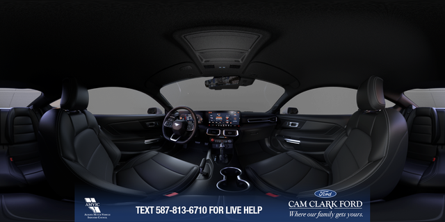 2025 Ford Mustang - Photo 8