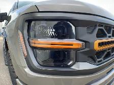 2026 Ford F-150 Tremor 401A - Photo 12