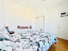 Toronto some day rental rooms - Photo 4