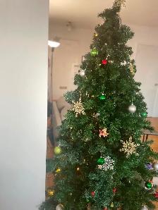 6ft Tree w/ Lights   Ornaments – MUST GO