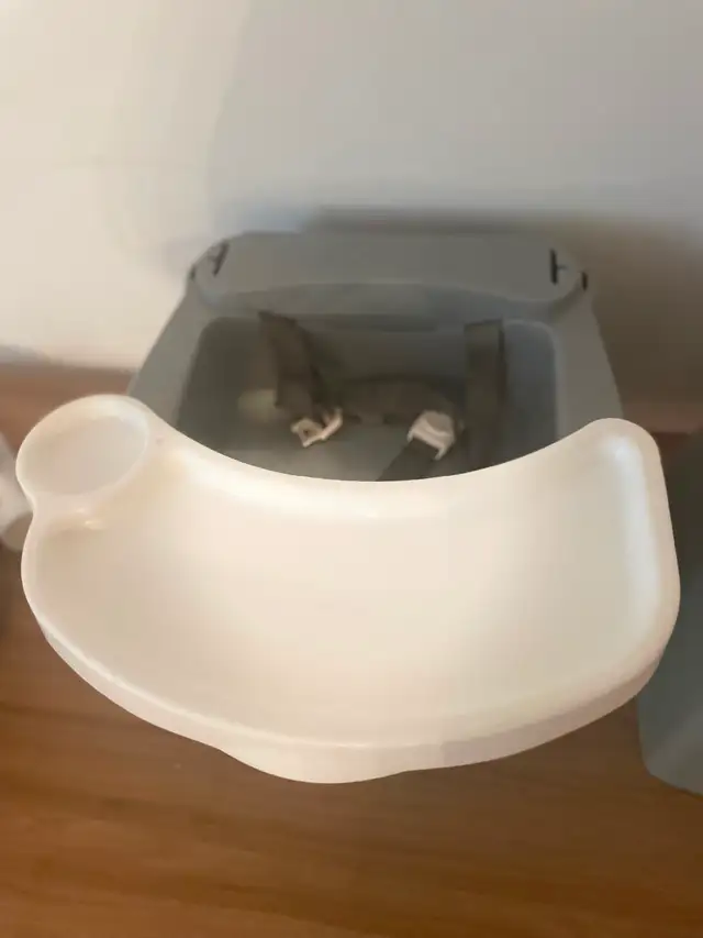 BOOSTER  FEEDING SEATS – MUST GO THIS WEEK