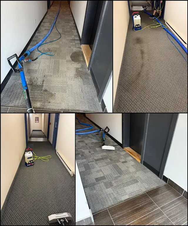 Groupe Nettoyage Empire - L'art du nettoyage haut de gamme - Photo 3