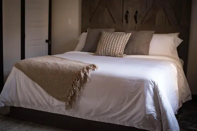 Bachelor jacuzzi suite - Photo 4