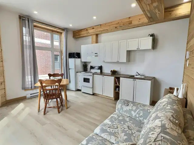 APPARTEMENT MEUBLÉ-TOUT INCLUS 2 CHAMBRES 4 1/2 CENTRE VILLE - Photo 3