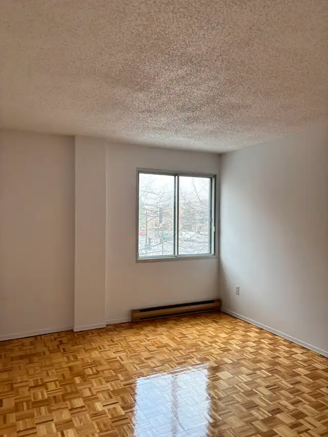 3 1/2 ANJOU DISPONIBLE DÈS MAINTENANT - Photo 8