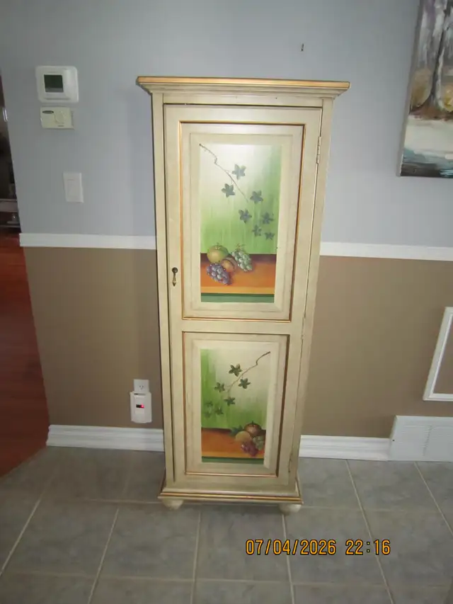 Decorative Storage Cabinet