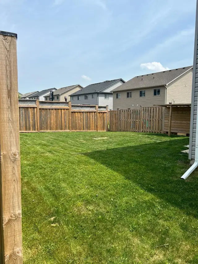 ROOM for rental in Simcoe ! - Photo 4