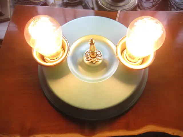 VINTAGE ANTIQUE FLUSH MOUNT CEILING TWIN LIGHT FIXTURE - Photo 5