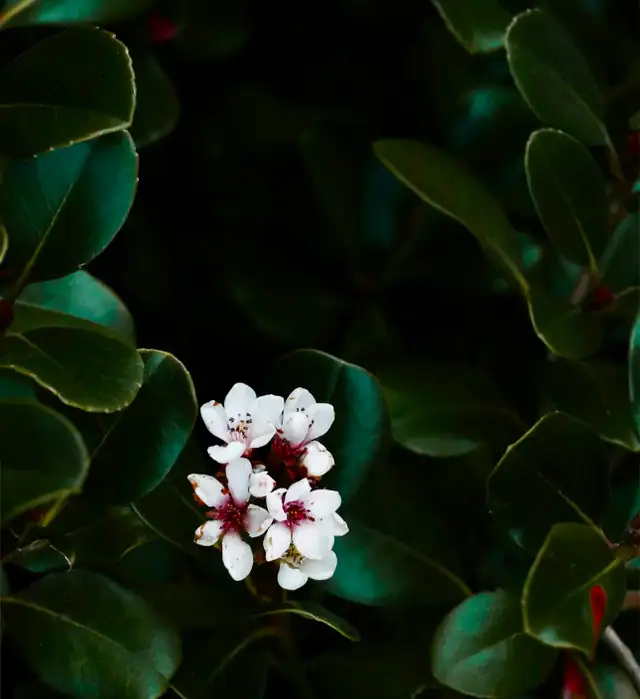 Seeking Part Time Caregiver for 1-2 shifts per week