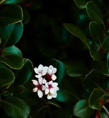 Seeking Part Time Caregiver for 1-2 shifts per week