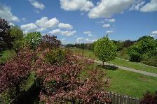 Finch/Warden - Clean, bright, quiet, large private 2nd floor rm. - Photo 10