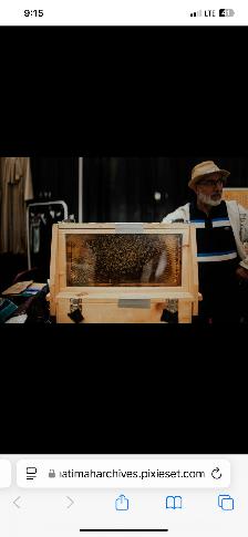 Life honey bee presentation for children and adult