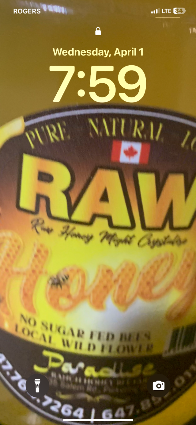 Life honey bee presentation for children and adult - Photo 2