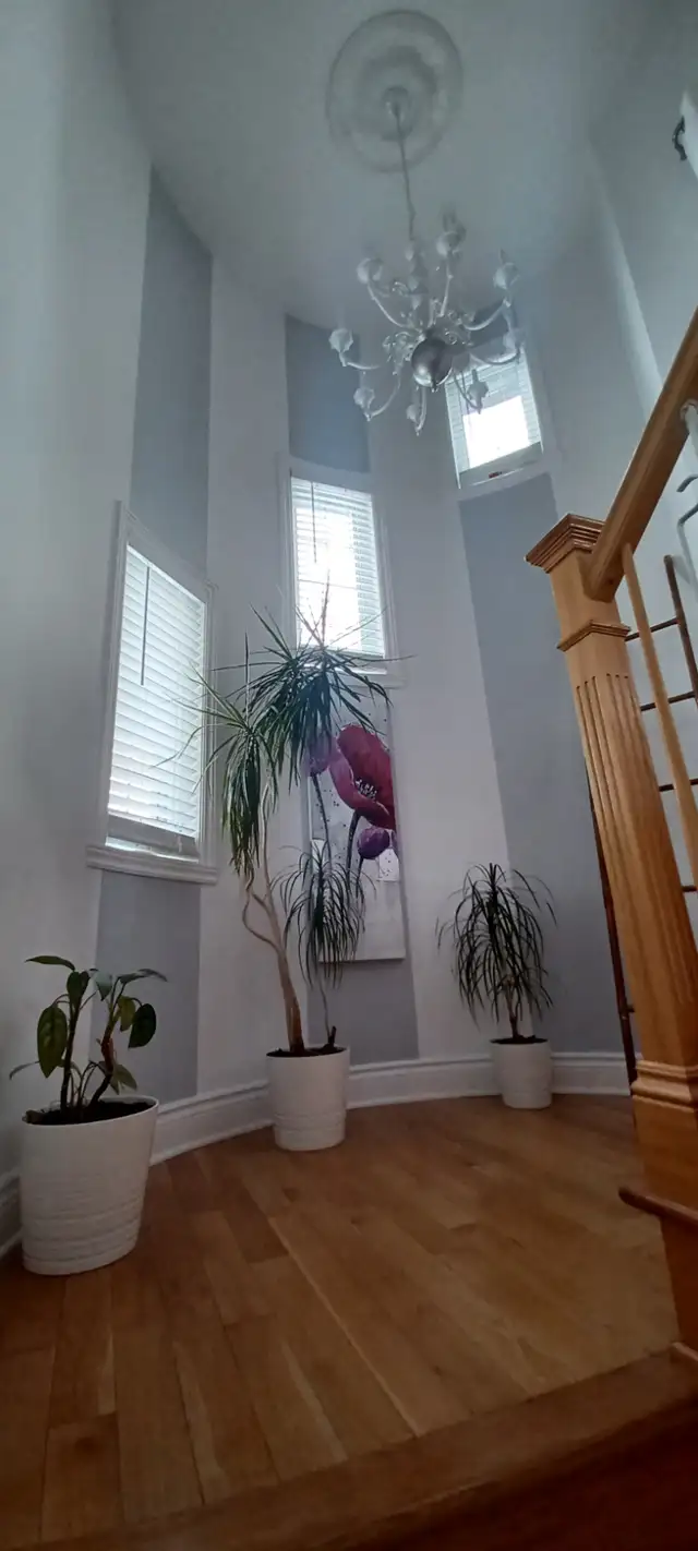 Maison a vendre - Photo 2