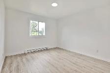 3 1/2 RÉNOVÉ À NEUF (STYLE CONDO) BROSSARD - Photo 2