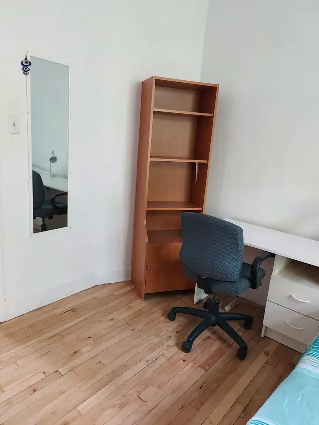 Nice furnished, girl roommates, all incl, metro Vendome, May 1st - Photo 3