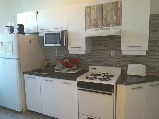 Nice furnished, girl roommates, all incl, metro Vendome, May 1st - Photo 4