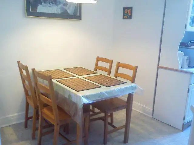 Nice furnished, girl roommates, all incl, metro Vendome, May 1st - Photo 5