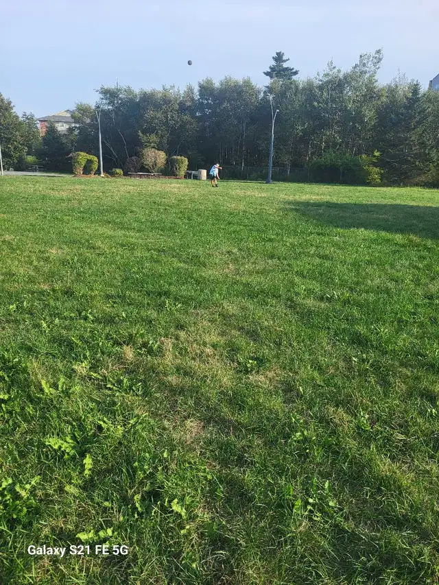 seeking food support