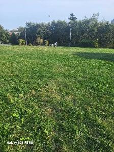 seeking food support