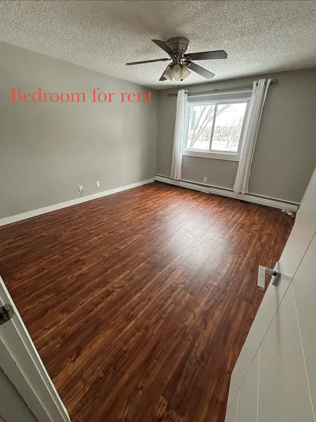 LARGE ROOM FOR RENT $800 - Photo 10