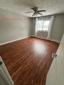 LARGE ROOM FOR RENT $800 - Photo 10
