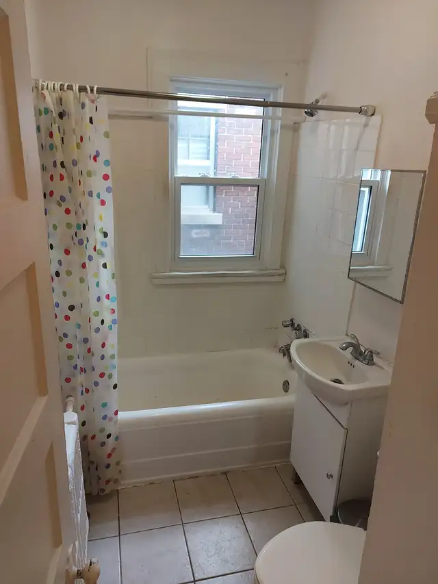 3 Bedroom Sandy Hill Apartments for Rent (Somerset/Blackburn) - Photo 5