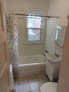 3 Bedroom Sandy Hill Apartments for Rent (Somerset/Blackburn) - Photo 5