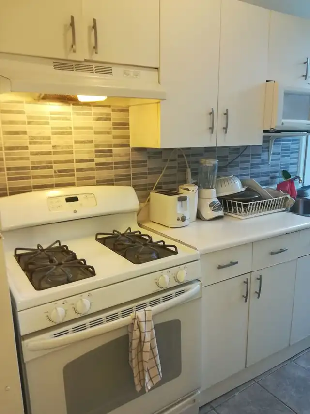 Fully furnished, girl roommates, All incl, metro Vendome, May 1 - Photo 4