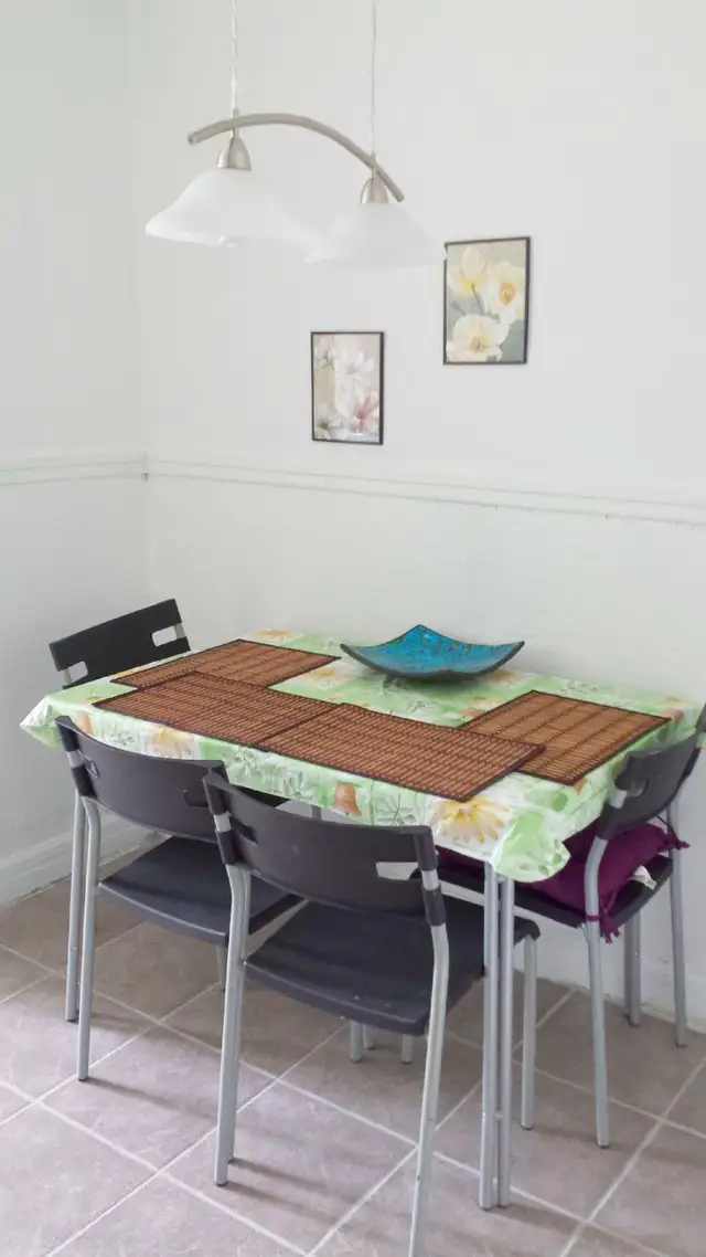 Fully furnished, girl roommates, All incl, metro Vendome, May 1 - Photo 5