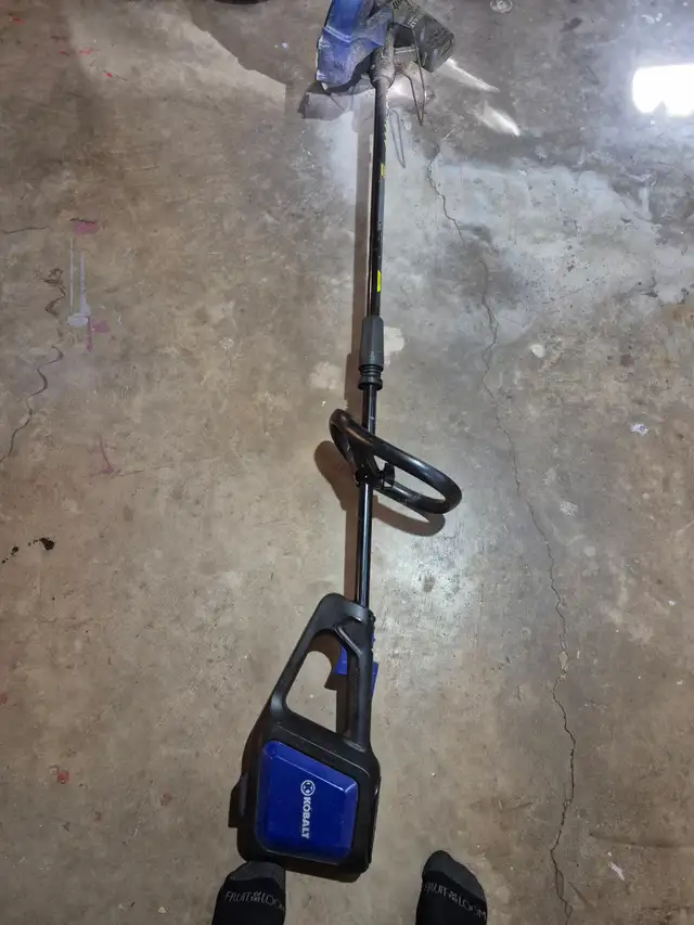 Weed eater 40 volt extra spools already filled plus more - Photo 4