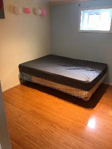 One bedroom Basemet available near centennial college - Photo 2