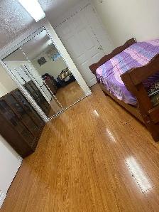 One bedroom Basemet available near centennial college - Photo 4