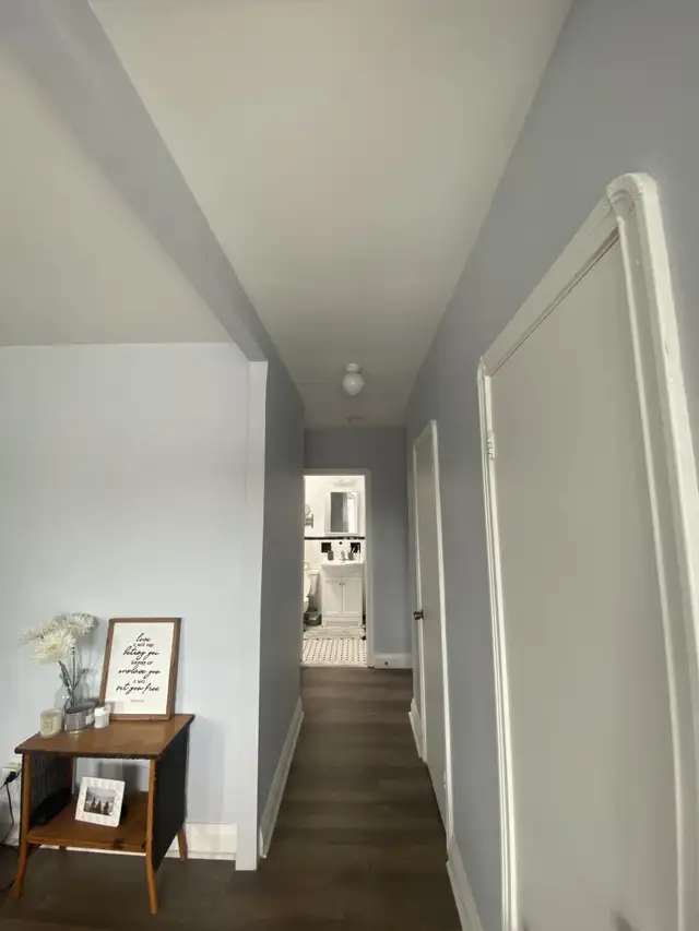 ONE BEDROOM APARTMENT FOR RENT ABOVE STORE - Photo 3