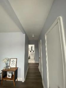 ONE BEDROOM APARTMENT FOR RENT ABOVE STORE - Photo 3