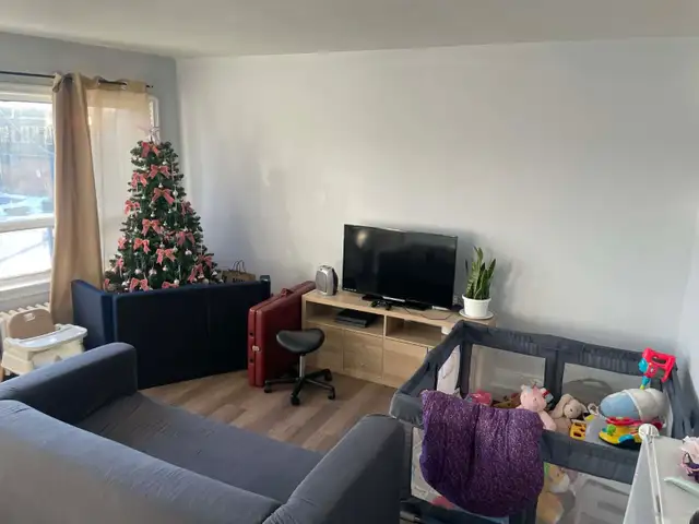 ONE BEDROOM APARTMENT FOR RENT ABOVE STORE - Photo 8