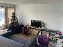 ONE BEDROOM APARTMENT FOR RENT ABOVE STORE - Photo 8