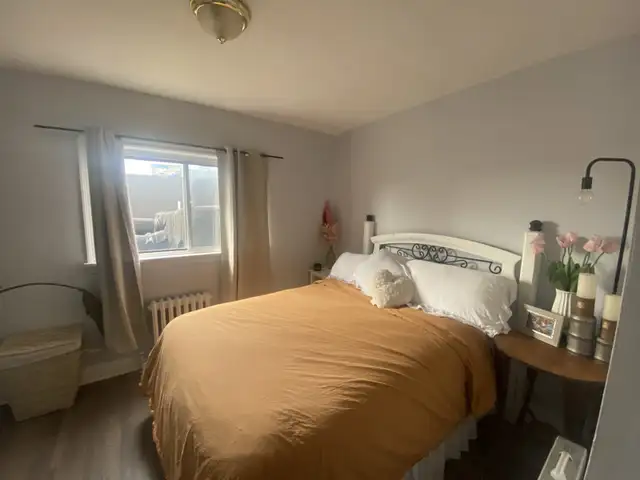 ONE BEDROOM APARTMENT FOR RENT ABOVE STORE - Photo 9