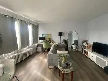 ONE BEDROOM APARTMENT FOR RENT ABOVE STORE - Photo 15