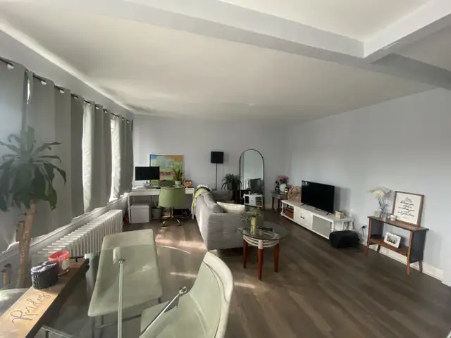 ONE BEDROOM APARTMENT FOR RENT ABOVE STORE - Photo 17