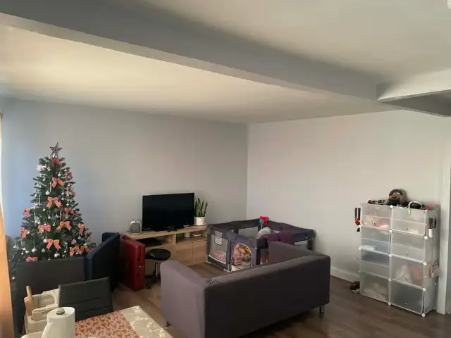 ONE BEDROOM APARTMENT FOR RENT ABOVE STORE - Photo 18