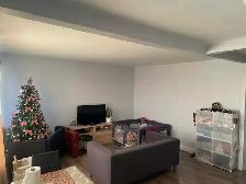 ONE BEDROOM APARTMENT FOR RENT ABOVE STORE - Photo 18