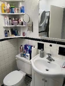 ONE BEDROOM APARTMENT FOR RENT ABOVE STORE - Photo 21