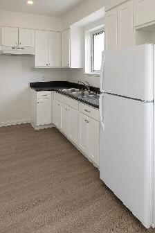 Beau GRAND 4½ LIBRE/CDN/POLY/ HEC/UdeM - Photo 2