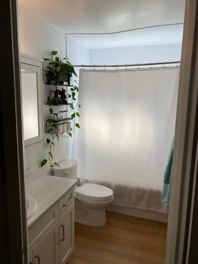 newly renovated 2 bedroom apartment private balcony fergus